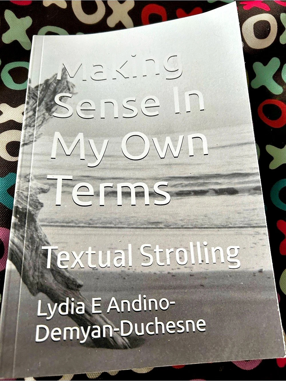 Making Sense In My Own Terms: Textual Strolling, 2025, by Lydia E Andino Poetry